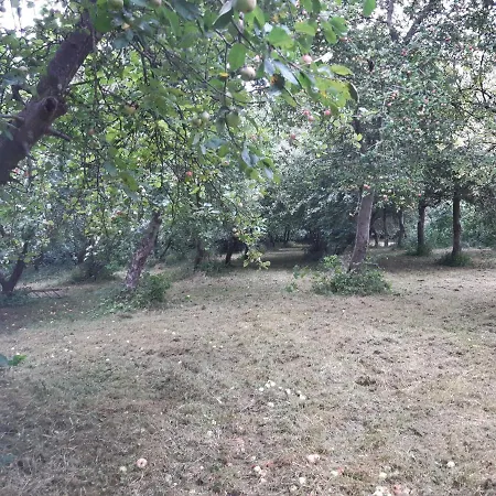 Lundtofthoj Apartman