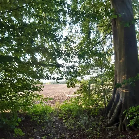 Διαμέρισμα Lundtofthoj Aabenraa