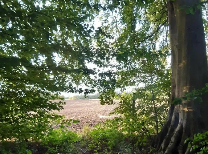 Apartmán Lundtofthoj Aabenraa